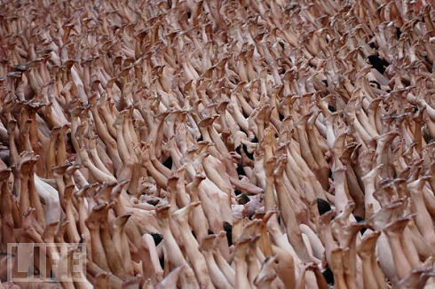 Spencer Tunick 20