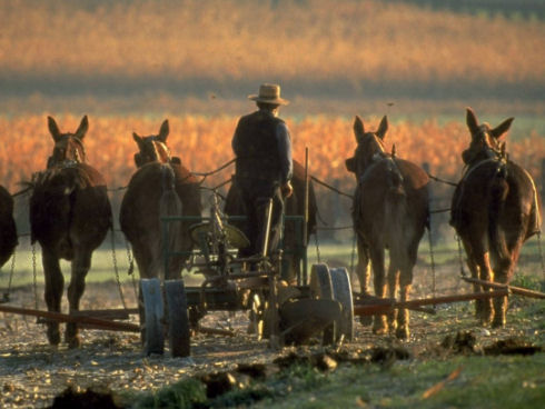 Inside Amish life09
