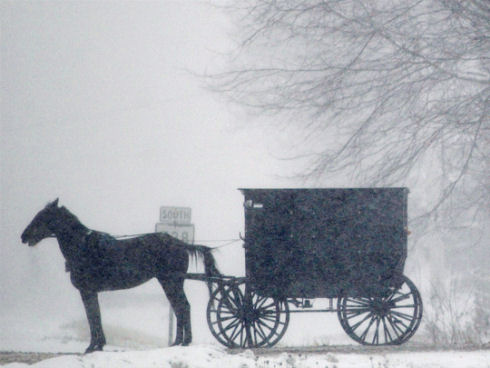 Inside Amish life15