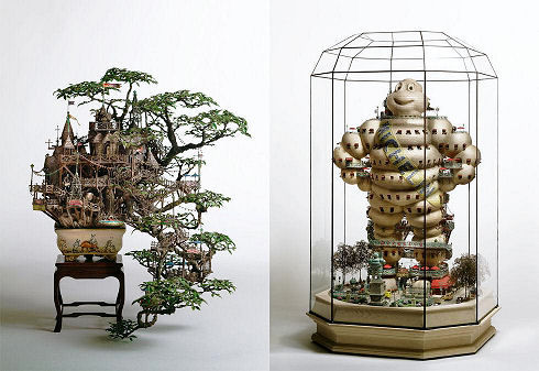 Aiba_bonsai_top