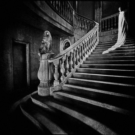 psycho-photos51