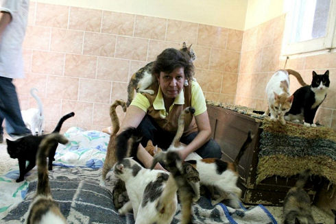 Animals Welfare in Egypt 02