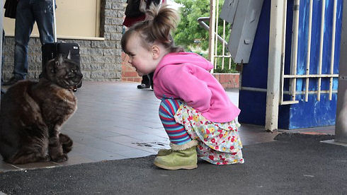 290767-amelia-and-graeme