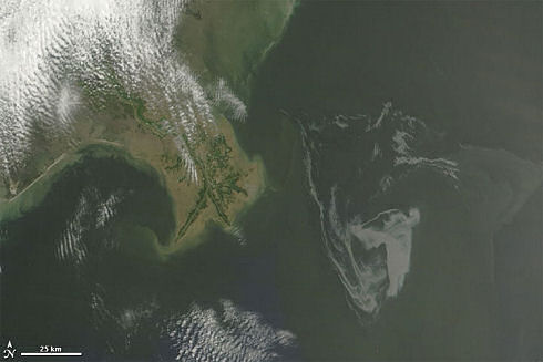 Gulf_of_Mexico_oil_spill_May_1_cropped