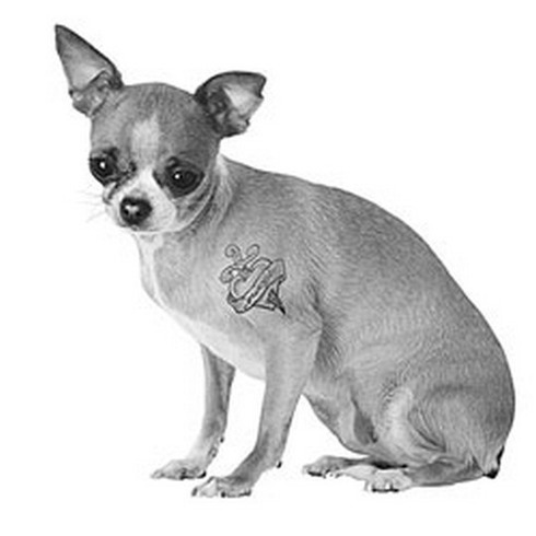 Tattooed-animals-07