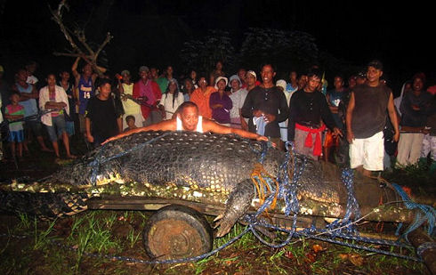 lolong1