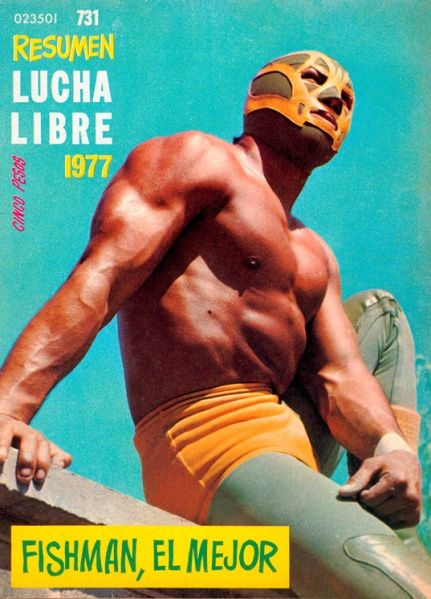 lucha_libre_magaine11