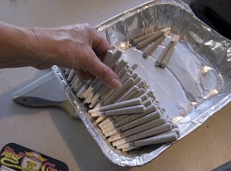 Production-of-marijuana-cigarettes-012