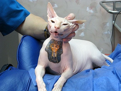 Tattooed-animals-03