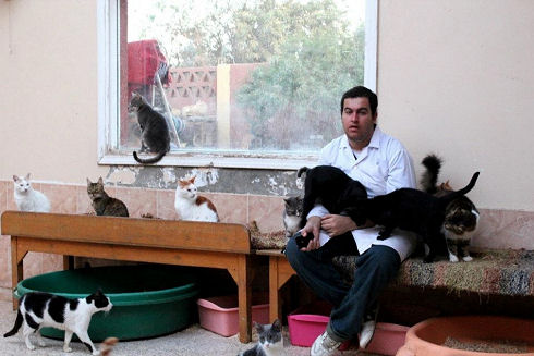 Animals Welfare in Egypt 11