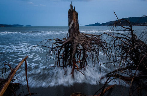 Disaster in Japan 01