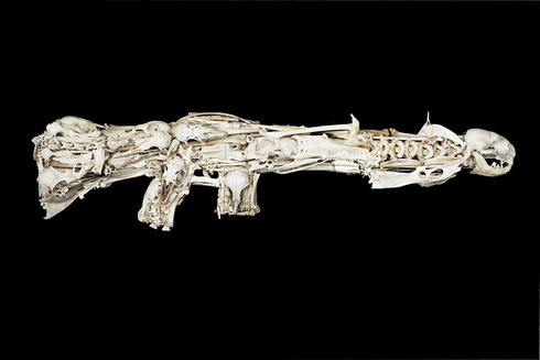bone2