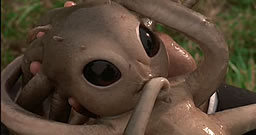 alien-children-squid