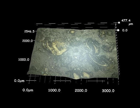 desalvo051012e
