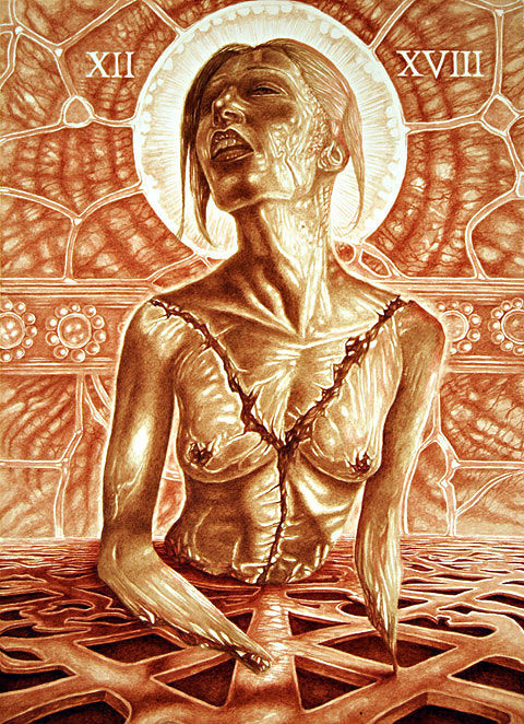 vincent-castiglia-blood7