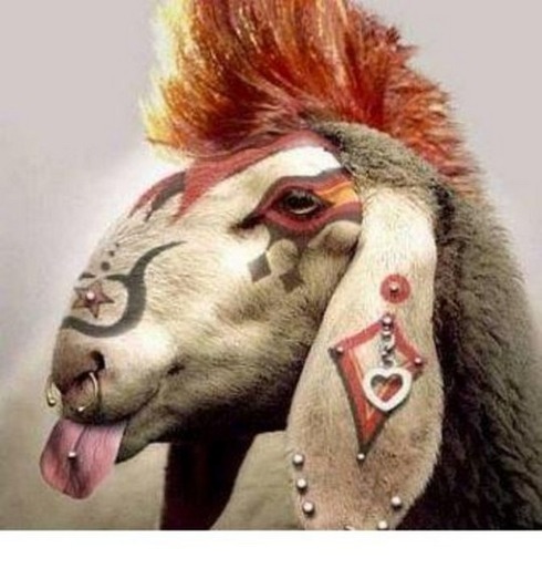 Tattooed-animals-09