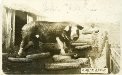 The early 1900s version of Photoshop 02