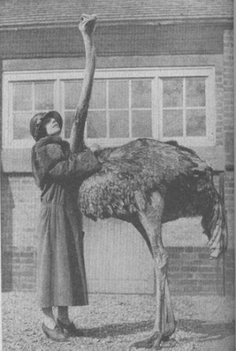 old-funny-and-weird-photos18