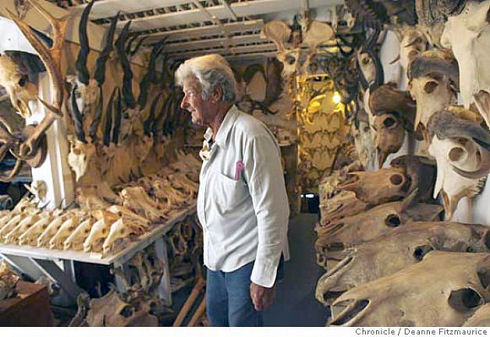 Bone Collecto 01