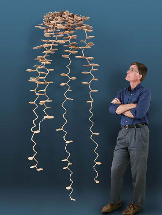 fig1