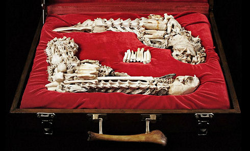 bone1gunleadimage