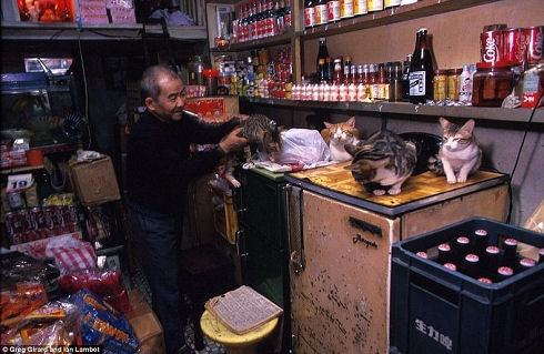 kowloon-walled-city-62