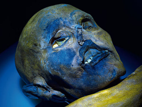 buch_iceman_07lr
