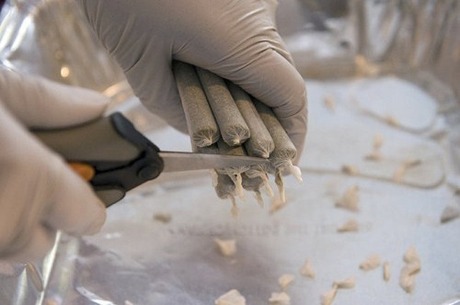 Production-of-marijuana-cigarettes-011