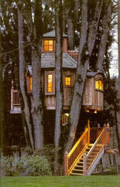 beautiful_tree_houses_14