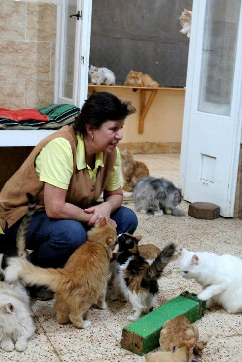 Animals Welfare in Egypt 24
