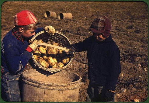photography-Farm-Security-Administration-8