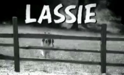 LASSIE