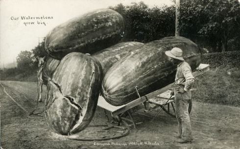 The early 1900s version of Photoshop 10
