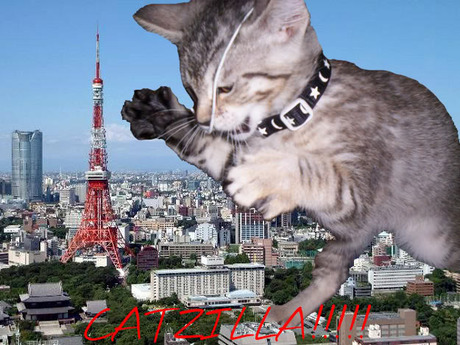 Catzilla_04