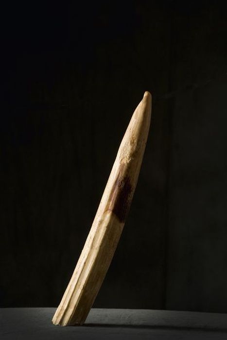 last_french_executioner_23