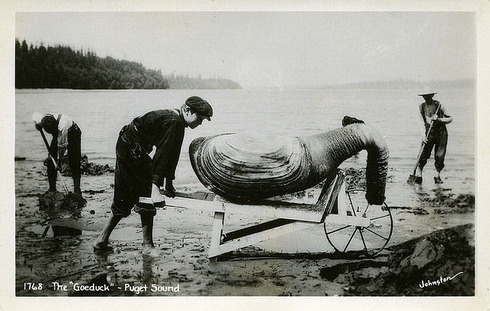 The early 1900s version of Photoshop 03
