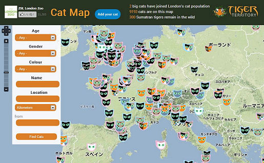 cat map