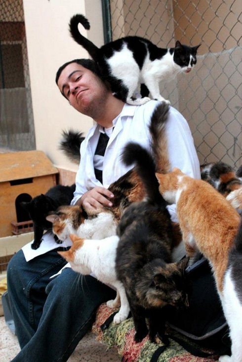 Animals Welfare in Egypt 18