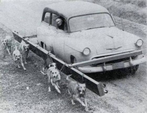old-funny-and-weird-photos17