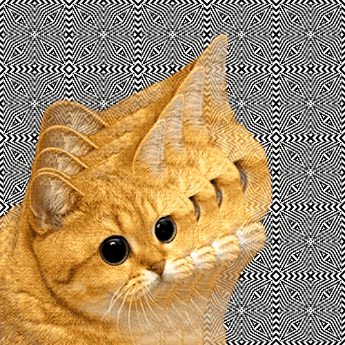 画像 猫のおもしろgifを貼ってみる 枚 付録部 Blog Bu 画像 猫のおもしろgifを貼ってみる 枚 付録部 Blog Bu