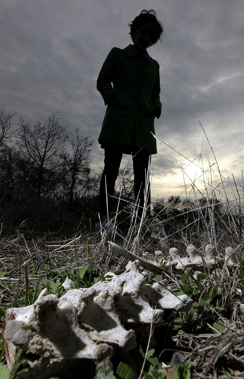 Body Farm 7