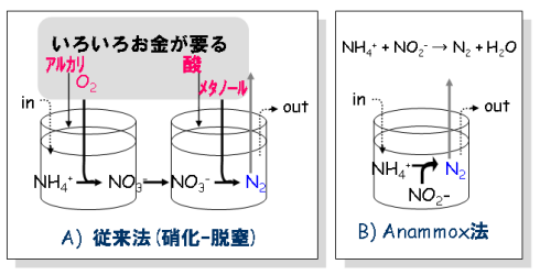 anammox