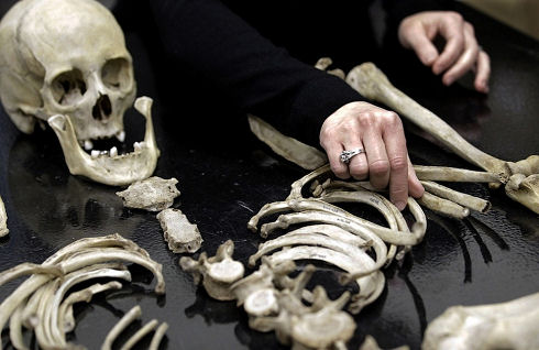 Body Farm 6