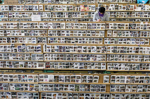 Disaster in Japan 07