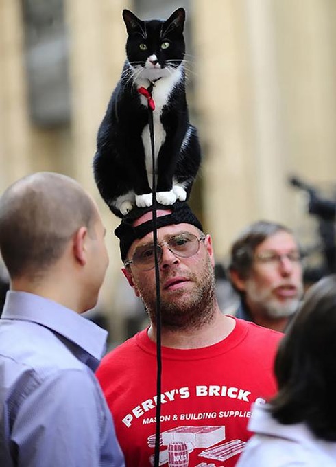 The-guy-nbspwith-a-Cat-on-His-Head