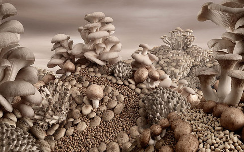 amazing-foodscapes-12
