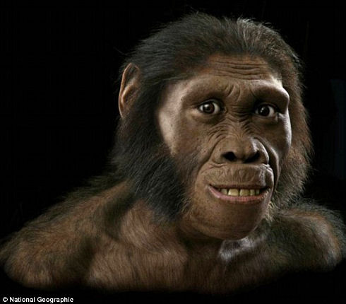 Australopithecus sediba 01