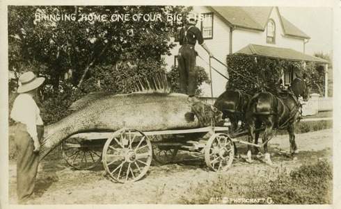 The early 1900s version of Photoshop 11