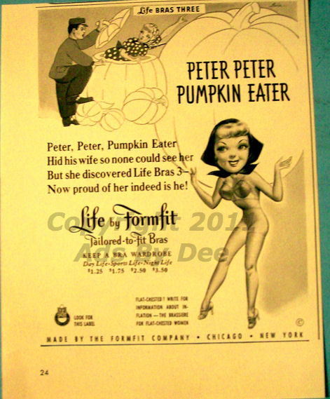 Vintage Lingerie Ads 11