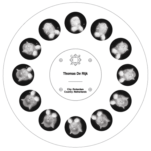 1-disc